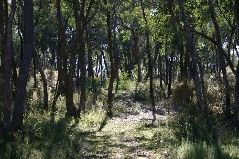 Main view of Homely rural property listing, 217 Native Gully Crescent, Eppalock VIC 3551