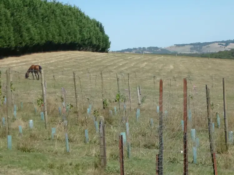 Lot 4/150 Paternoster Road, Cockatoo VIC 3781