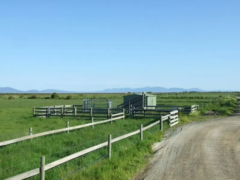 Main view of Homely rural property listing, Lots 81/82/83 Bucklands Road, Toora VIC 3962