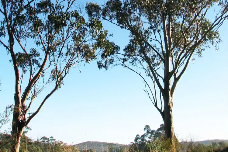 Third view of Homely land listing, 50A Fryers Rd, Chewton VIC 3451