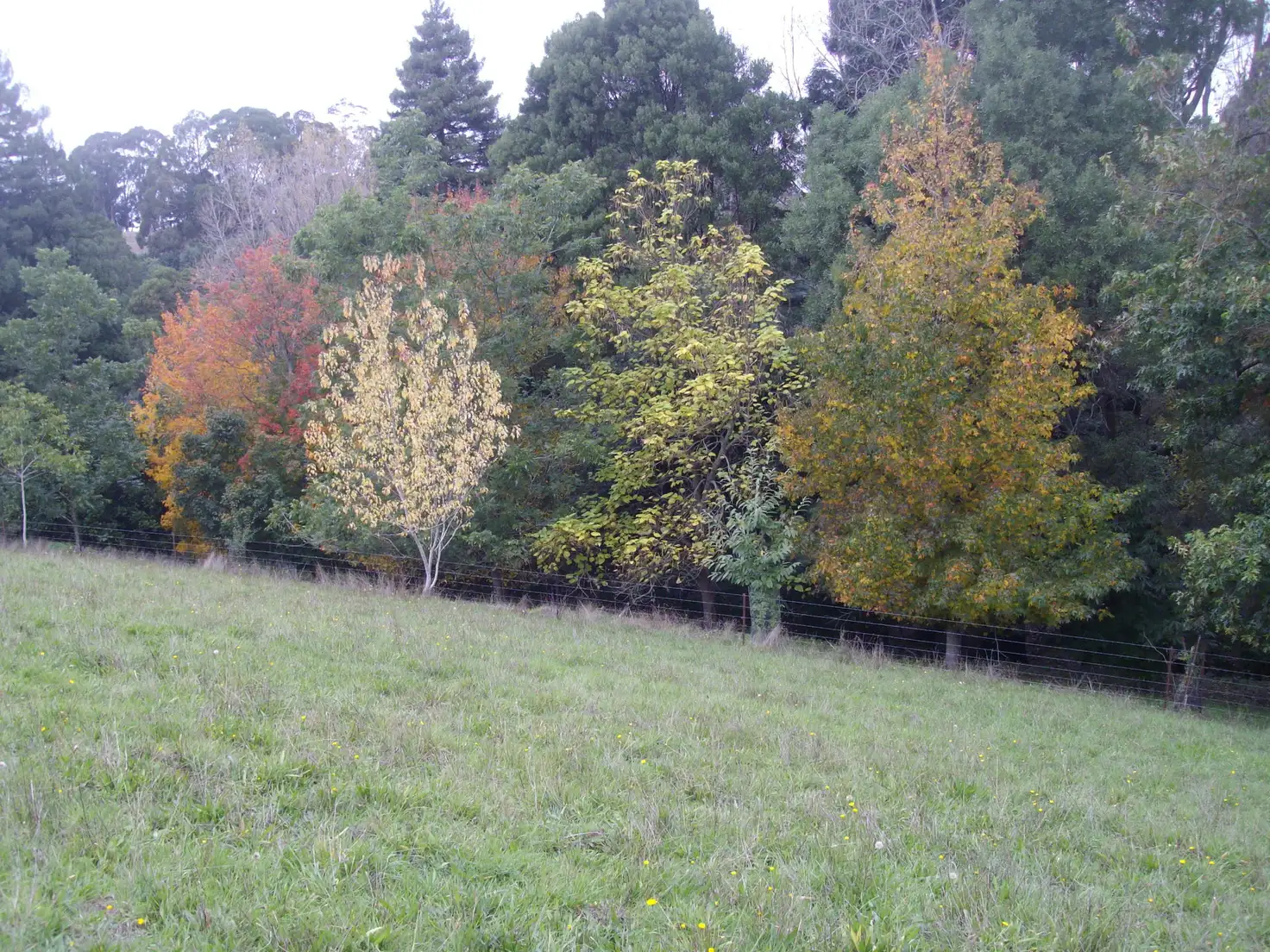 Main view of Homely land listing, 44 Beaconsfield-Emerald Rd, Emerald VIC 3782