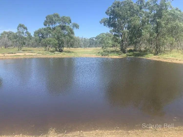 . Alamba, Albert NSW 2873