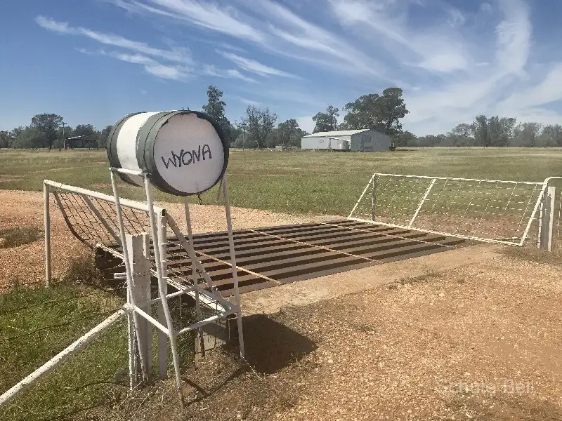 Main view of Homely rural property listing, . Wyona, Albert NSW 2873