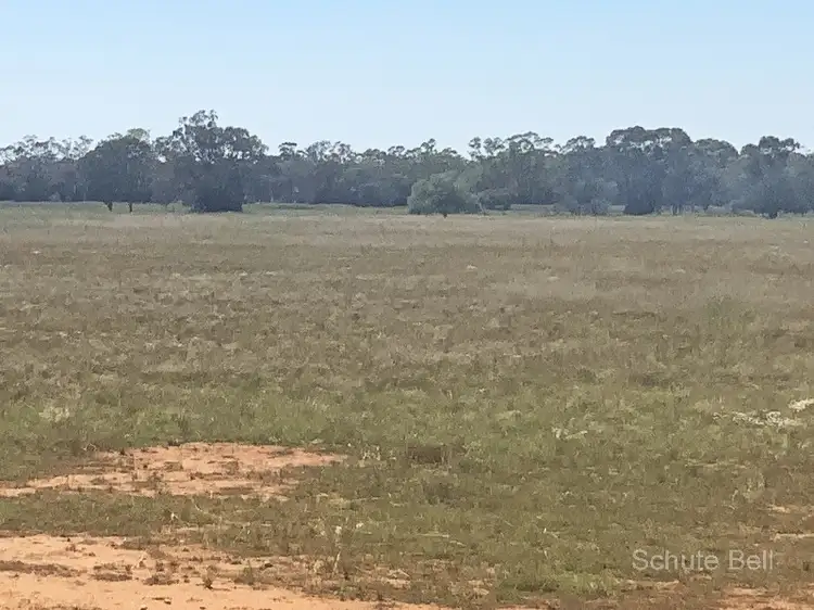 Fourth view of Homely rural property listing, . Wyona, Albert NSW 2873