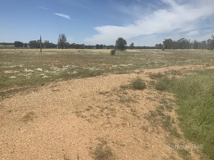 Fifth view of Homely rural property listing, . Wyona, Albert NSW 2873