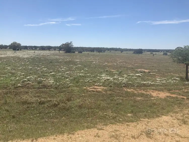 Sixth view of Homely rural property listing, . Wyona, Albert NSW 2873