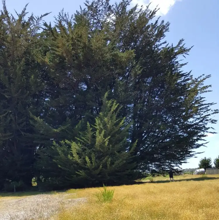 Third view of Homely land listing, 664 Waratah Road, Waratah TAS 7321