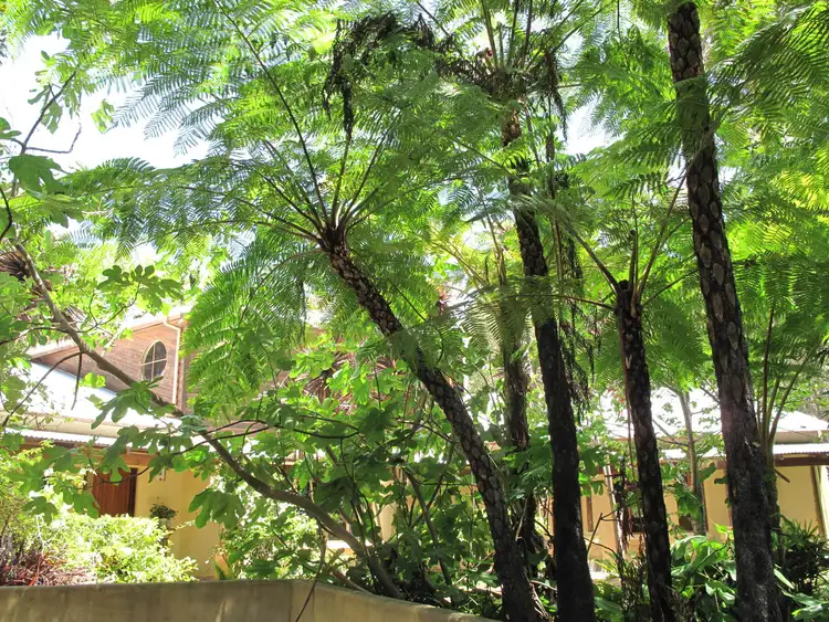 Third view of Homely house listing, 15/1 Minsterly Road, Denmark WA 6333