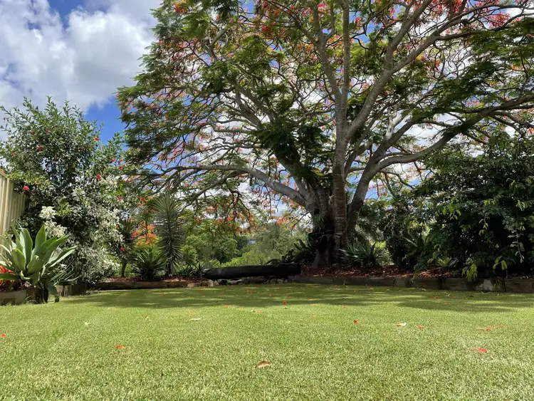 Fifth view of Homely house listing, 16 Concorde Street, Mitchelton QLD 4053