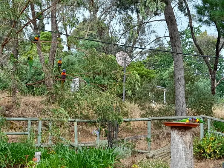 Third view of Homely house listing, 18 Sycamore Crescent, Hawthorndene SA 5051