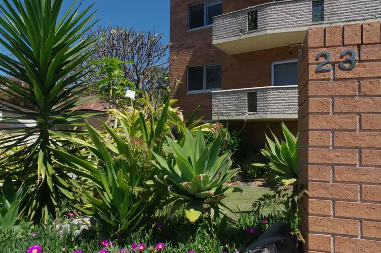 Main view of Homely unit listing, 2/23-25 Willison Road, Carlton NSW 2218