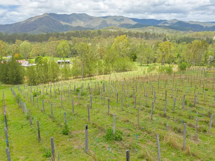 Sixth view of Homely rural property listing, 522 Thornside Road, Widgee QLD 4570