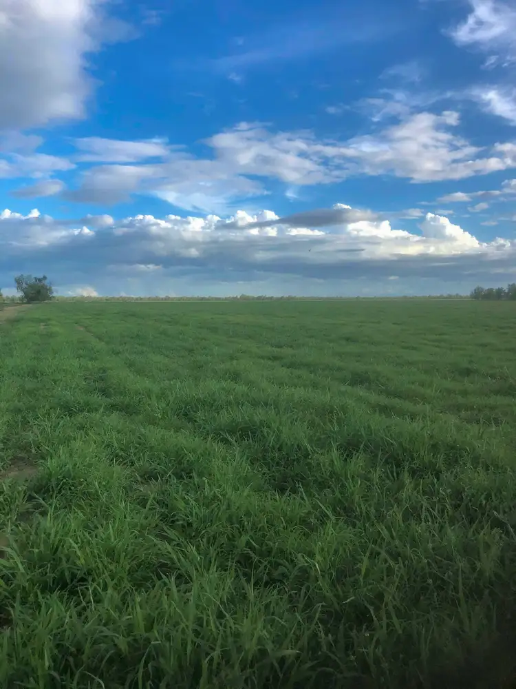 Sixth view of Homely rural property listing, 422 Alberta Road, Baralaba QLD 4702