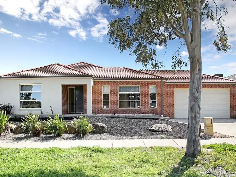 16 Vantage Point Boulevard, Doreen VIC 3754