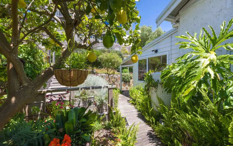 Fourth view of Homely house listing, 53 Adelaide Crescent, Middleton Beach WA 6330