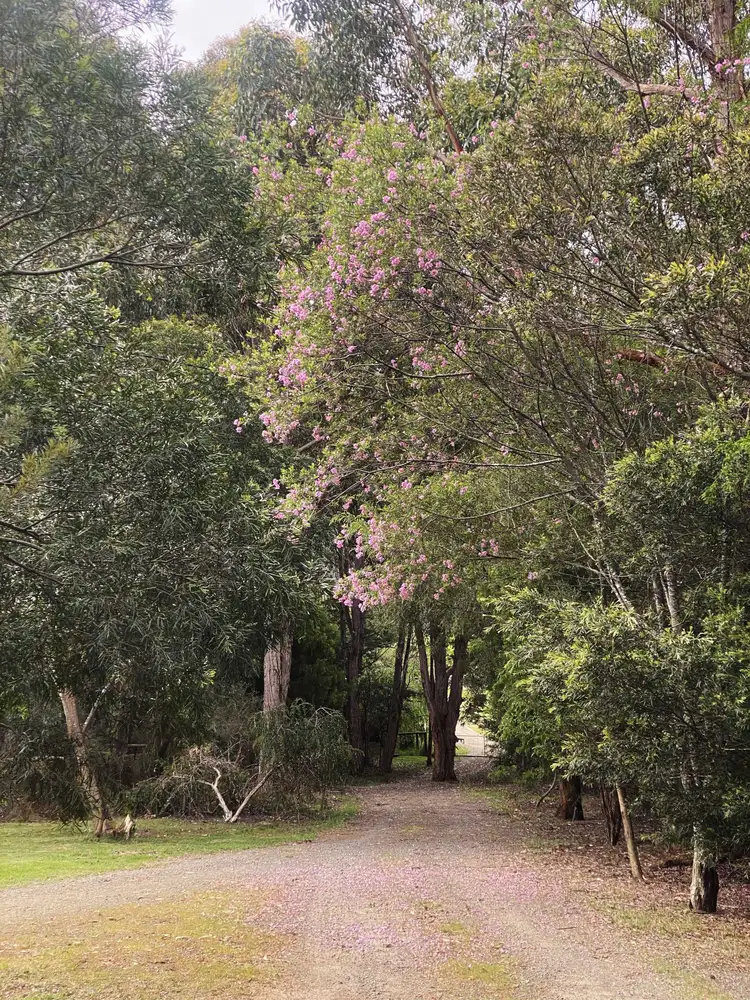Third view of Homely rural property listing, 77 Snug Tiers Road, Snug TAS 7054