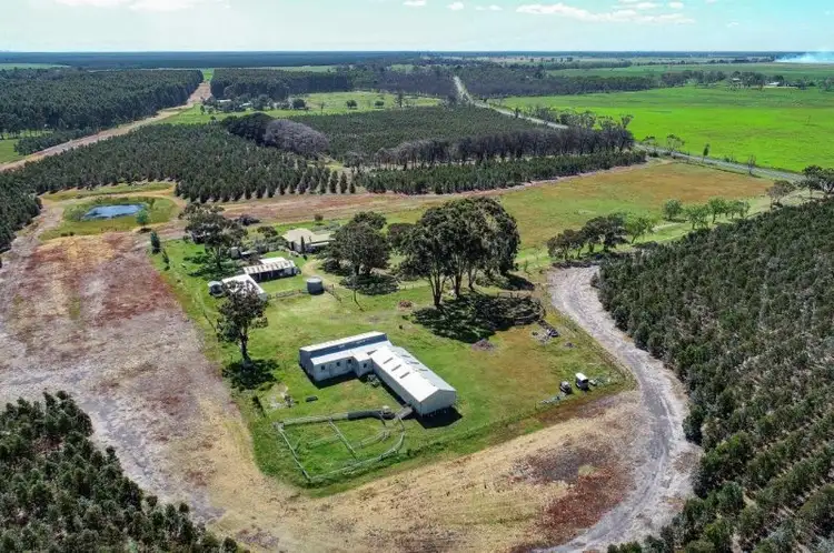 Second view of Homely rural property listing, 7767 Princes Highway, Mumbannar VIC 3304