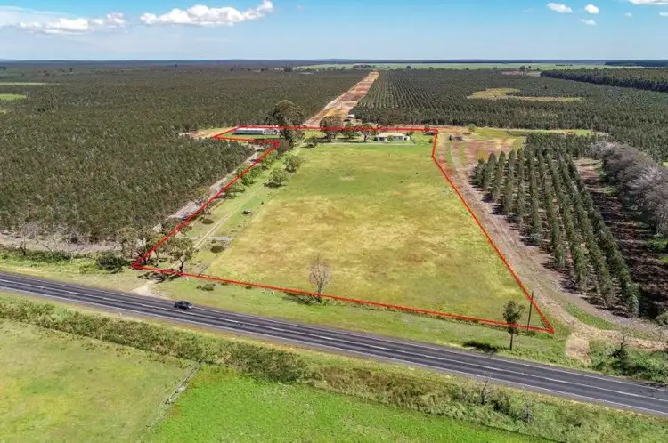 Fourth view of Homely rural property listing, 7767 Princes Highway, Mumbannar VIC 3304