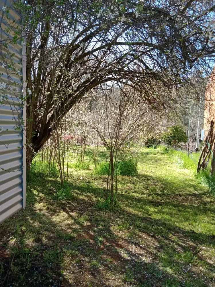 Main view of Homely land listing, 6 Budden St, Rockley NSW 2795