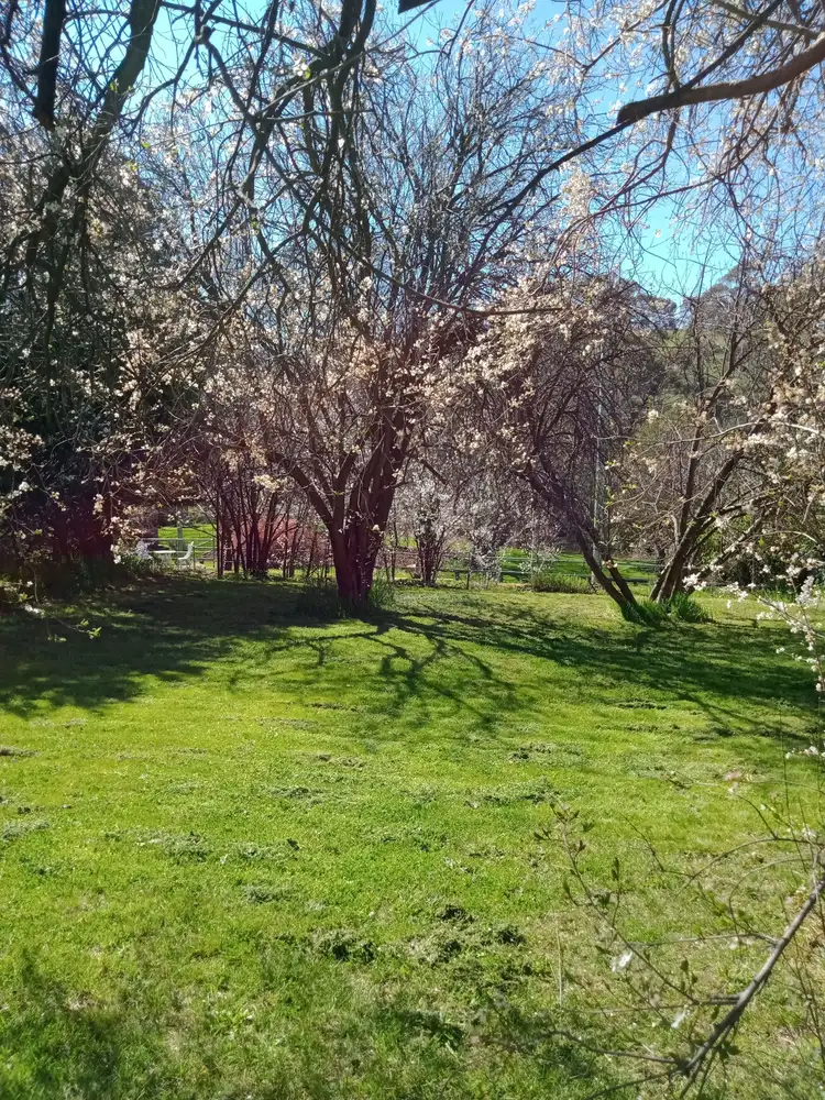 Second view of Homely land listing, 6 Budden St, Rockley NSW 2795