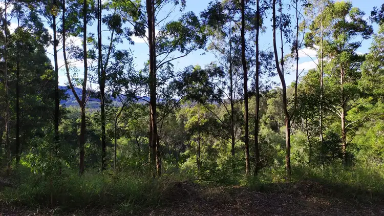 Fifth view of Homely land listing, 1448 Valla Road, Newee Creek NSW 2447