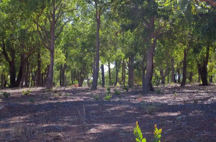 Second view of Homely land listing, Lot 111 Cycad Crescent, Wundowie WA 6560