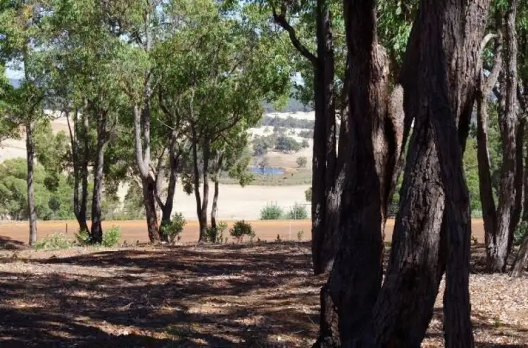 Third view of Homely land listing, Lot 111 Cycad Crescent, Wundowie WA 6560