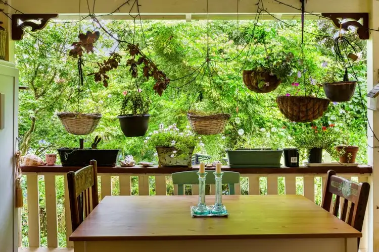 Fourth view of Homely house listing, 6 West End Street, Murwillumbah NSW 2484