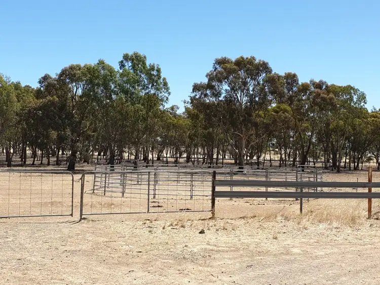 Fourth view of Homely rural property listing, 1090 Stawell-avoca Road, Greens Creek VIC 3387