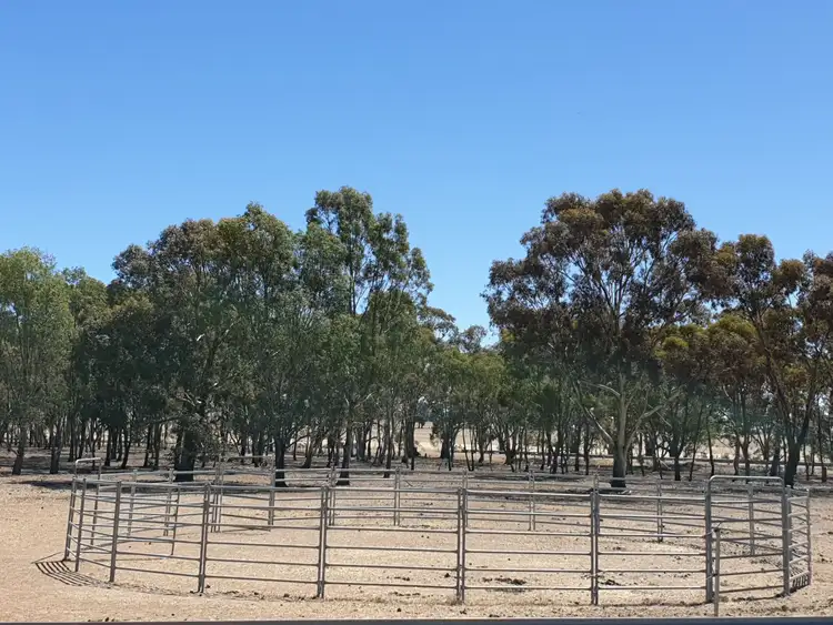 Sixth view of Homely rural property listing, 1090 Stawell-avoca Road, Greens Creek VIC 3387