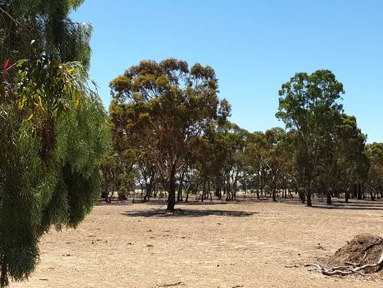 Seventh view of Homely rural property listing, 1090 Stawell-avoca Road, Greens Creek VIC 3387