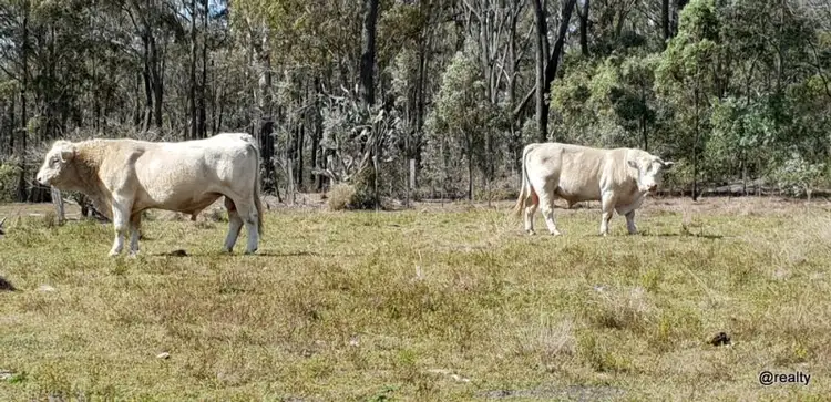 Third view of Homely land listing, 149 Whitaker Road, South Nanango QLD 4615