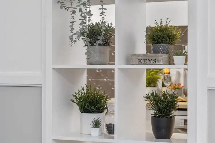 Sixth view of Homely apartment listing, 2/191 Harcourt Street, New Farm QLD 4005