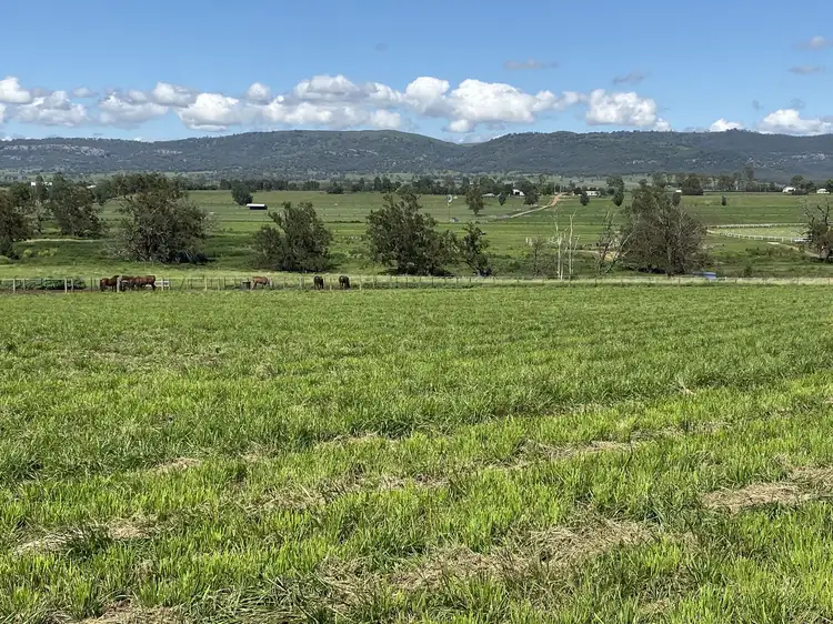 Main view of Homely land listing, 375 Middlebrook Road, Scone NSW 2337