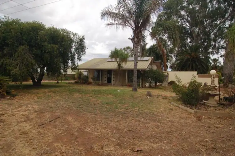776 Government Road, Renmark West SA 5341