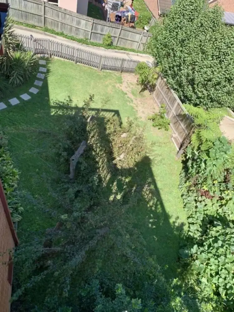 Second view of Homely semi-detached listing, 20 Hillside Crescent, Epping NSW 2121