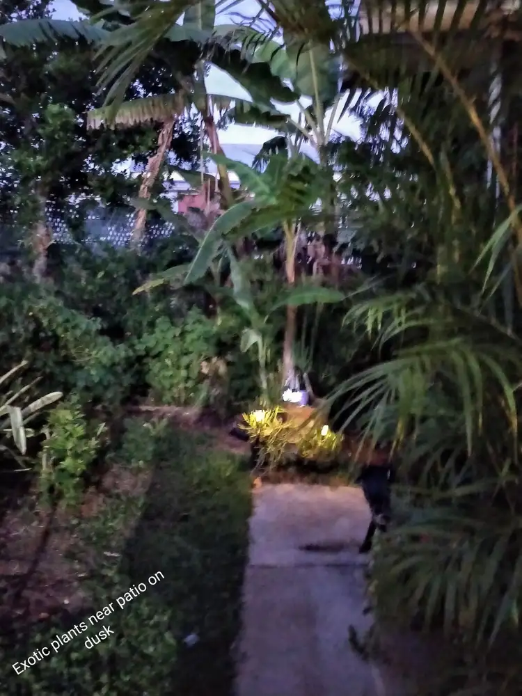 Fifth view of Homely house listing, 158 Rifle Range Road, Gympie QLD 4570