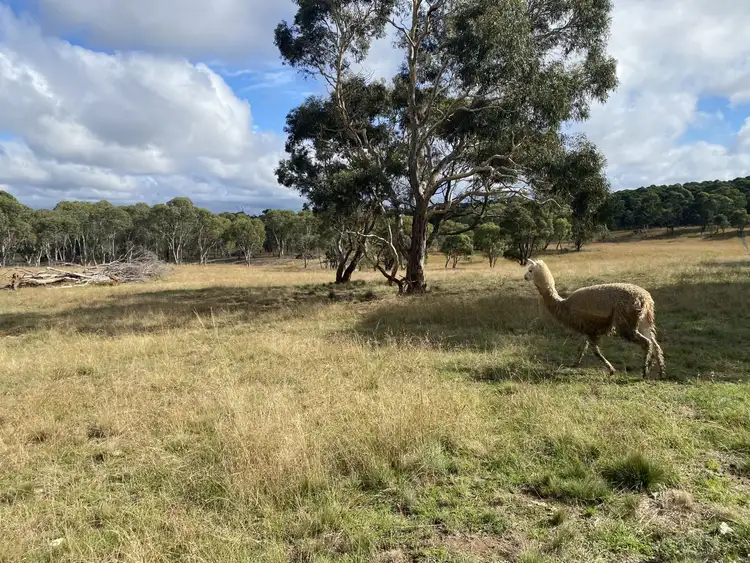 Fifth view of Homely rural property listing, 15 Avondale Road, Mongarlowe NSW 2622