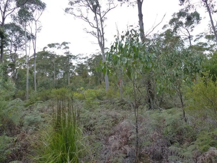 Second view of Homely rural property listing, Lot 1 Bradys Plains Road, Parkham TAS 7304