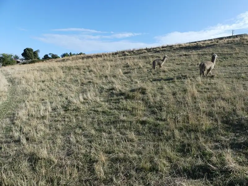 Main view of Homely land listing, Lot 8 Westbury Place, Deloraine TAS 7304