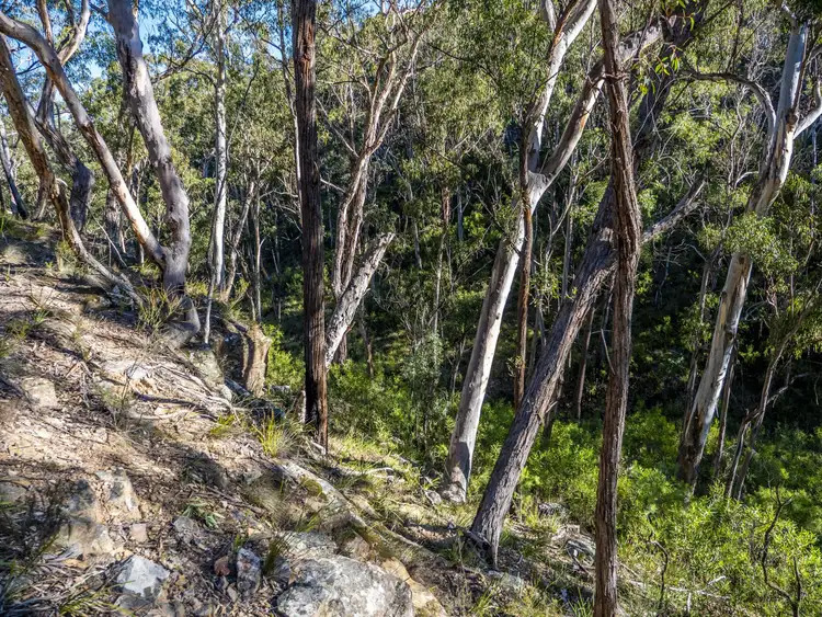Fifth view of Homely rural property listing, 287 Blackheath Creek Road, Kanimbla NSW 2790