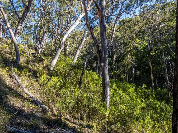 Sixth view of Homely rural property listing, 287 Blackheath Creek Road, Kanimbla NSW 2790
