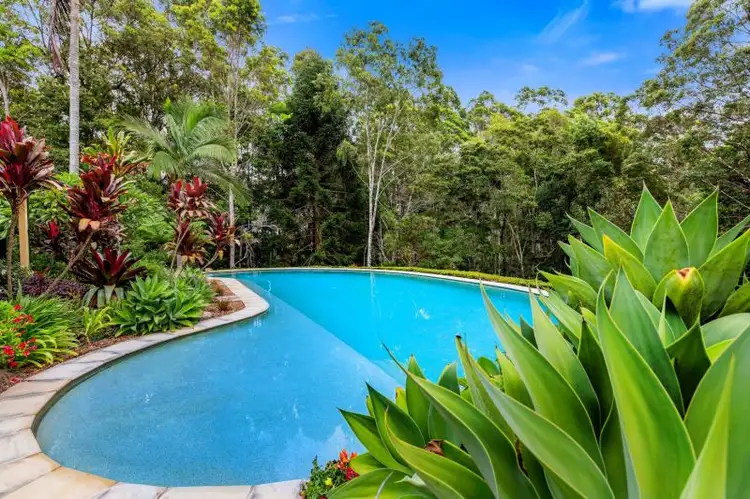 Third view of Homely rural property listing, 170 Blackwoods Road, Nobbys Creek NSW 2484