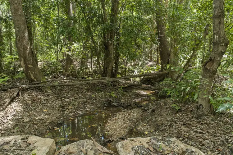 Third view of Homely land listing, 100 Black Pinch Road, Pomona QLD 4568