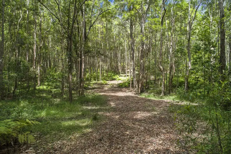 Fourth view of Homely land listing, 100 Black Pinch Road, Pomona QLD 4568