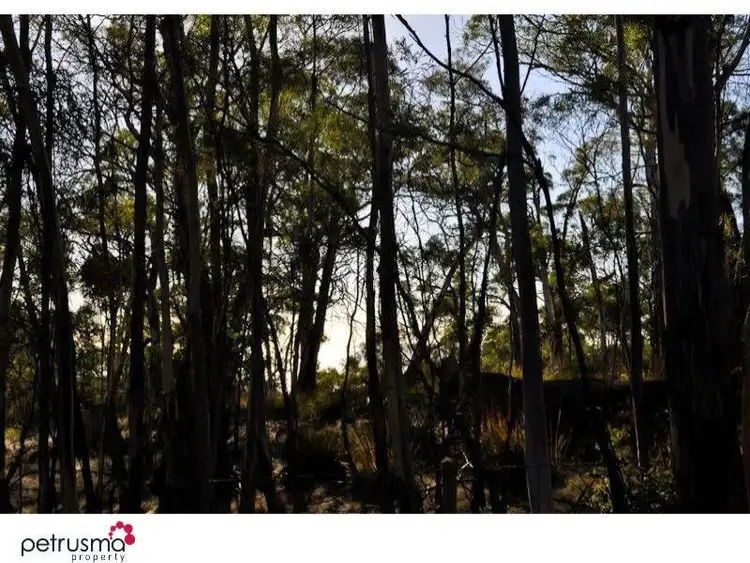 Fifth view of Homely land listing, Wielangta Road, Spring Beach TAS 7190