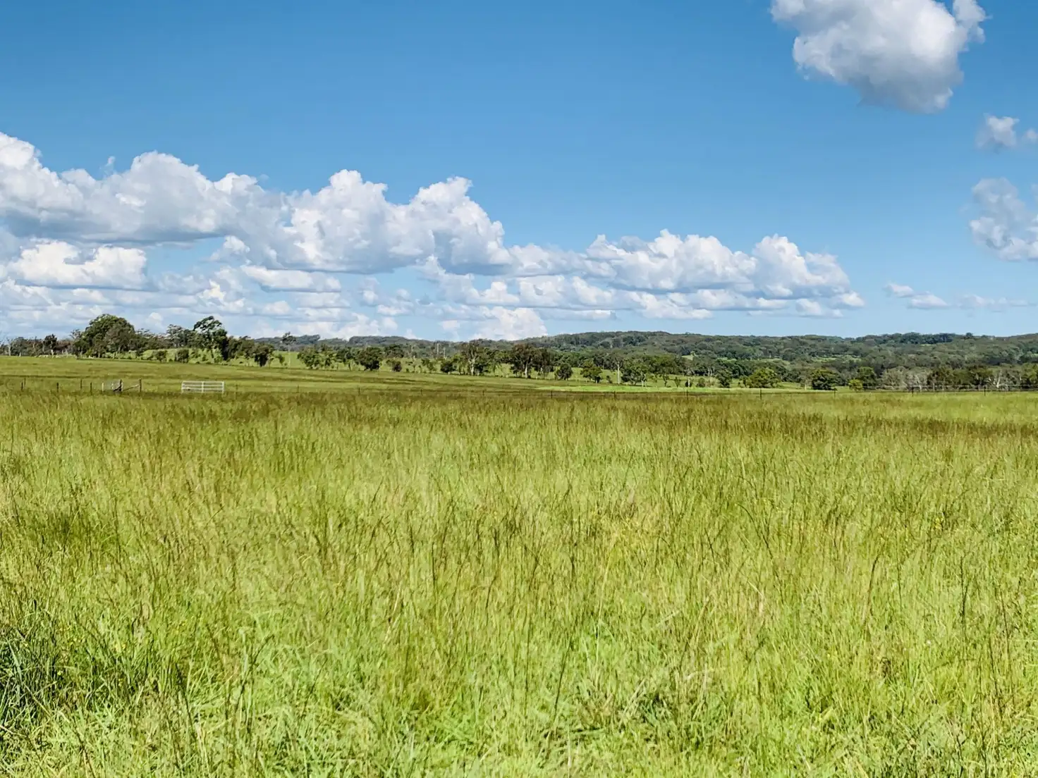 Main view of Homely land listing, 5470 Mount Lindesay Road, Liston NSW 2372