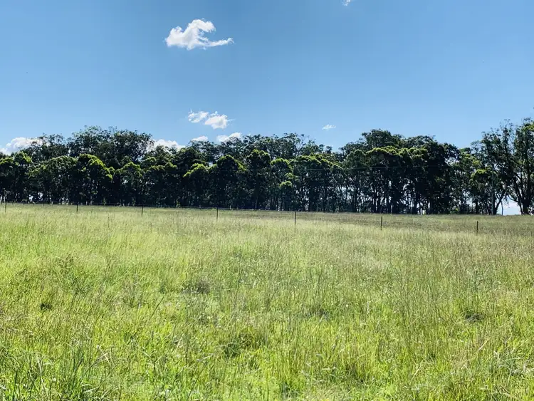 Second view of Homely land listing, 5470 Mount Lindesay Road, Liston NSW 2372