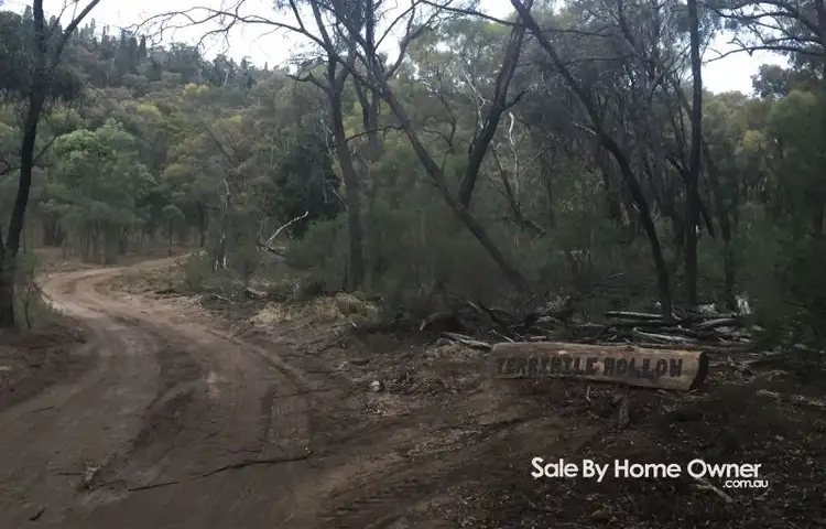 Main view of Homely rural property listing, Lot 22 Mount Hope Road, Coolah NSW 2843