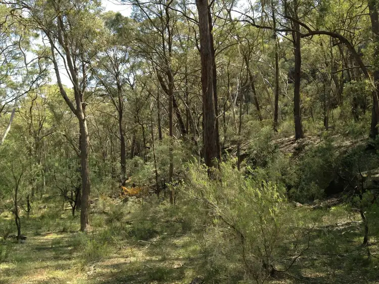Second view of Homely rural property listing, Lot 22 Mount Hope Road, Coolah NSW 2843
